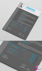 Free Creative Resume Templates PSD