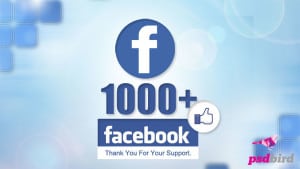 Free-Facebook-1000+-Likes-Banner-PSD