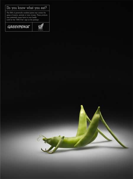 Greenpeace: What You Eat