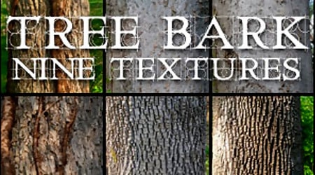 Nine Tree Bark Textures By Cobweb Stock