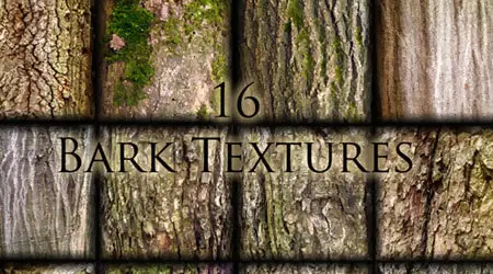 16 Tree Bark Textures Vector  