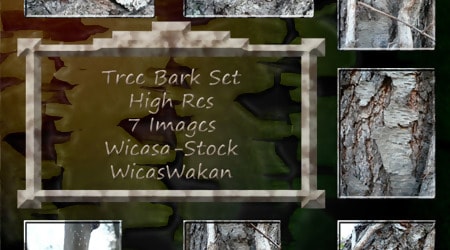 Tree Bark Texture Photoshop Set