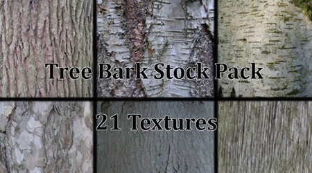 Tree Bark Texture Stock Pack