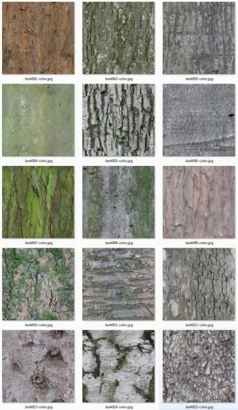 15 Free Seamless Tree Bark Textures