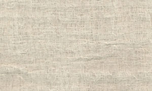 Free Linen Texture