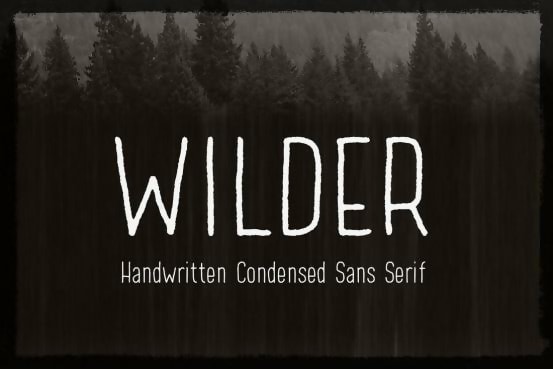 Wilder Thin Font