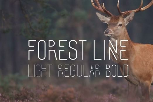 Forest Line Long Font