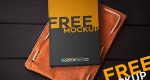 free book cover templates PSD