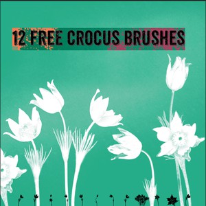 Crocus Brushes by Vector Beast