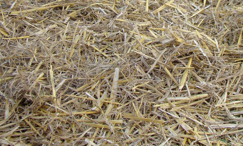 Straw and Hay