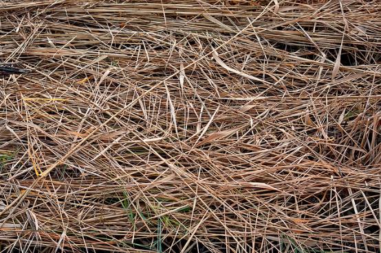 Bale of Dried Hay in a Park of Up close