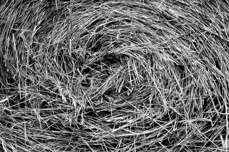 Spiral Hay