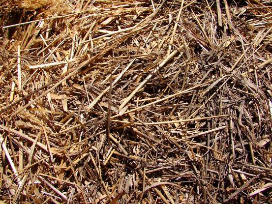 Hay Straw Farm texture