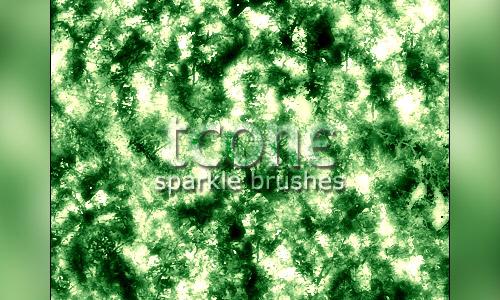 Tcone Sparkle Brushes