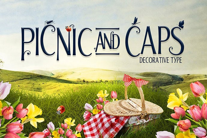 Picnic Cap Fonts